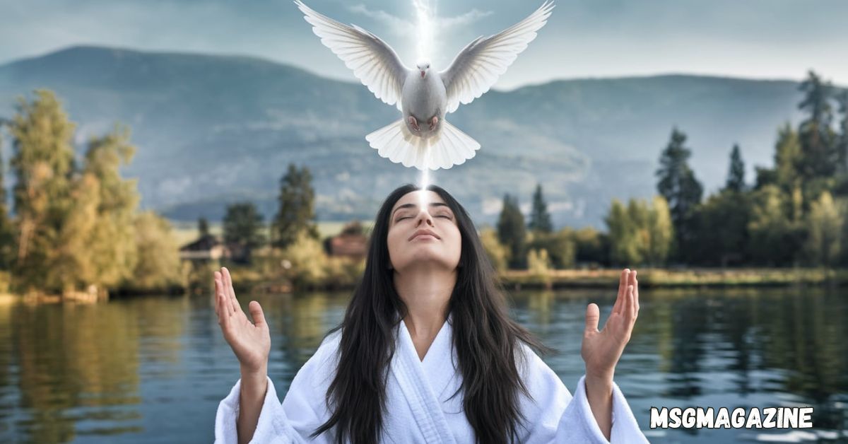 Phoebe Bird Spiritual Meaning and Symbolism