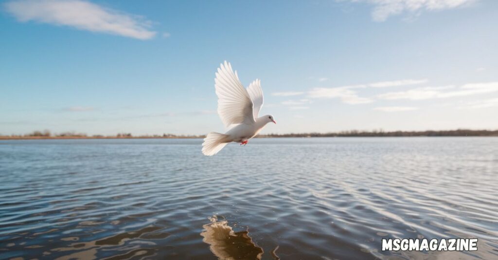 Phoebe Bird Spiritual Meaning and Symbolism