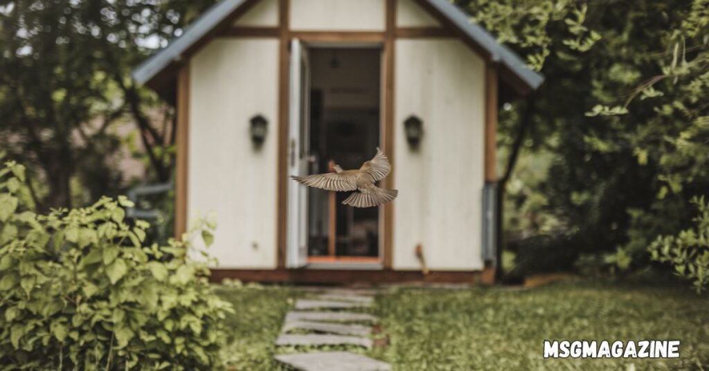 Spiritual Meanings of a Bird Flying Into Your House