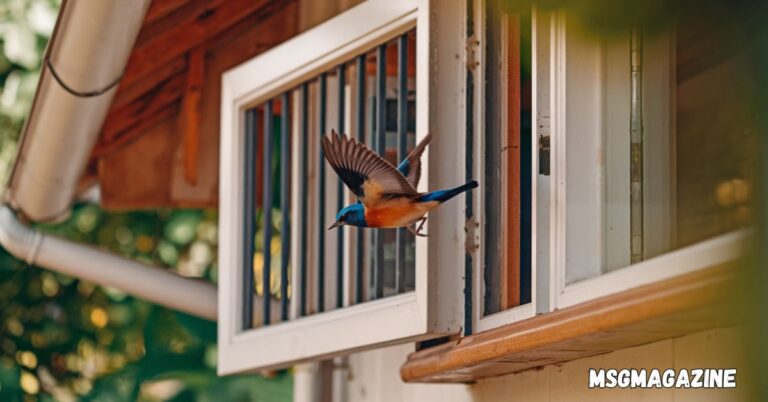 Spiritual Meanings of a Bird Flying Into Your House