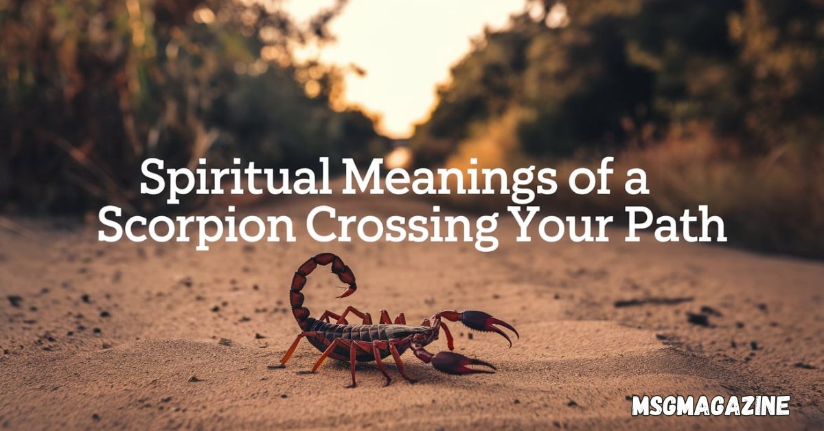 Spiritual Meanings of A Scorpion Crossing Your Path