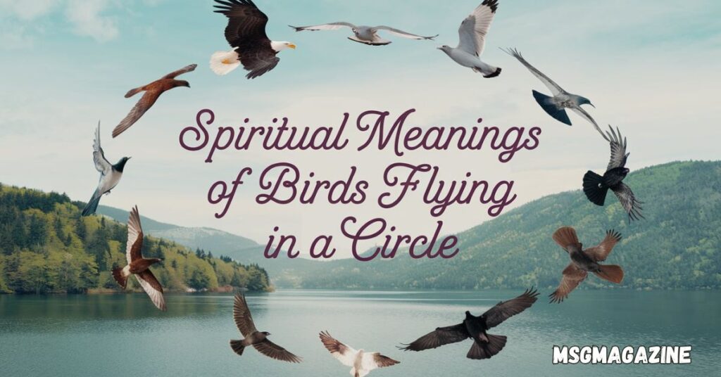 Spiritual Meanings of Birds Flying in a Circle