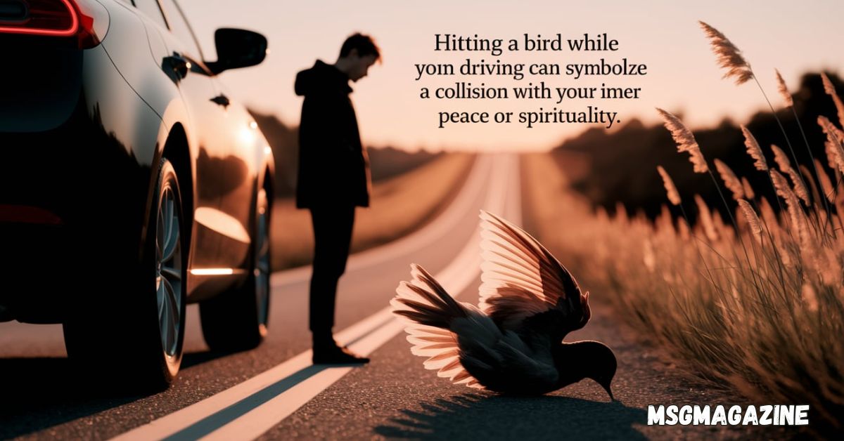 Spiritual Meanings Of Hitting A Bird While Driving