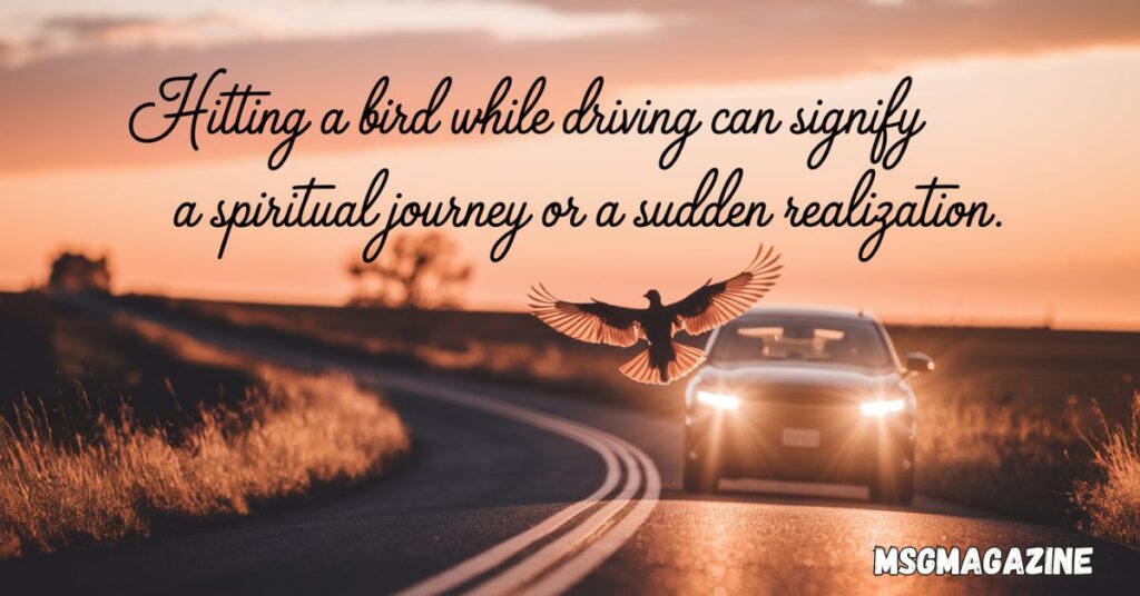 Spiritual Meanings Of Hitting A Bird While Driving