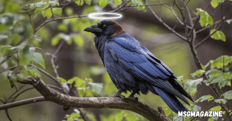 Spiritual Meanings of Raven and Symbolism