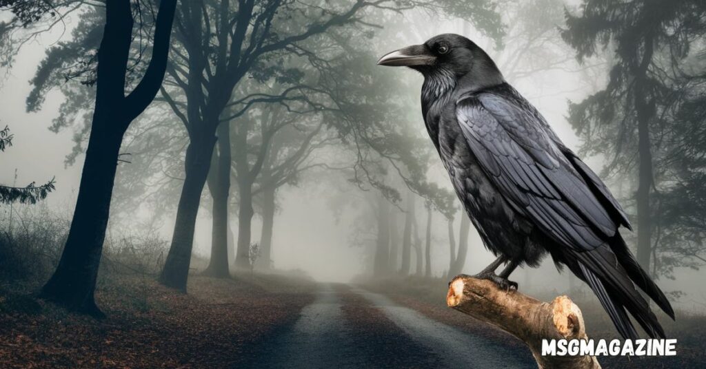 Spiritual Meanings of Raven and Symbolism