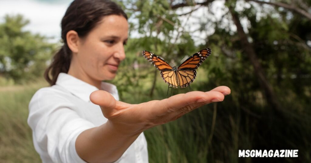 Spiritually When a Butterfly Lands on You