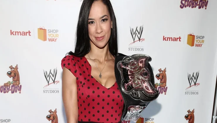 AJ Lee Age