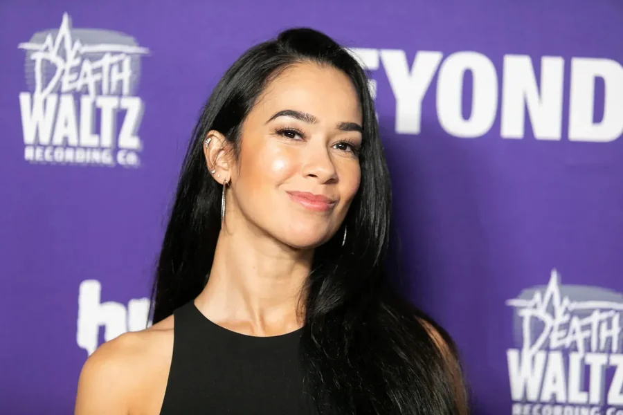 AJ Lee Age