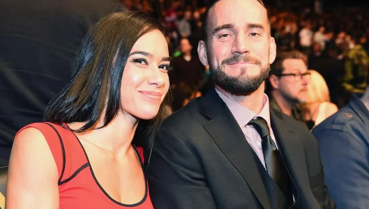 AJ Lee Husband